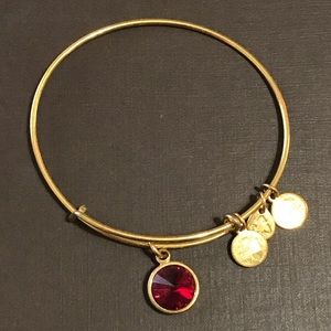 Alex and Ani garnet charm bracelet